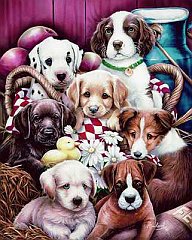 Puppies 2